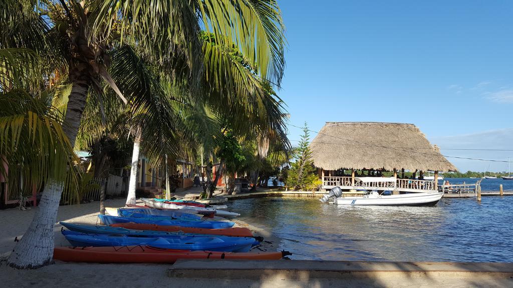 Alan'S Paradise Hotel Placencia Kültér fotó